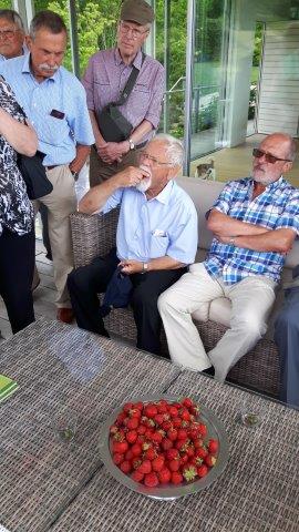 2017_06_21doschka_garten210.jpg